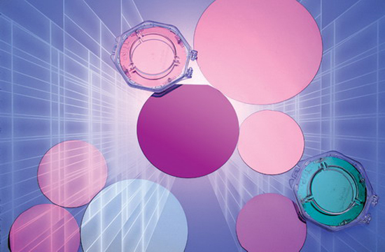 1472692844472071115.jpg 2.jpg