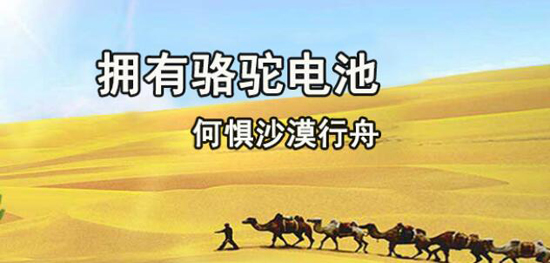 1476845158298065461.jpg 大.jpg