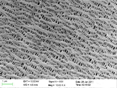 聚烯烴隔膜原料和生產(chǎn)原理 聚烯烴隔膜原料和生產(chǎn)原理