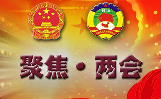 1520239594758060946.jpg 兩會(huì).jpg