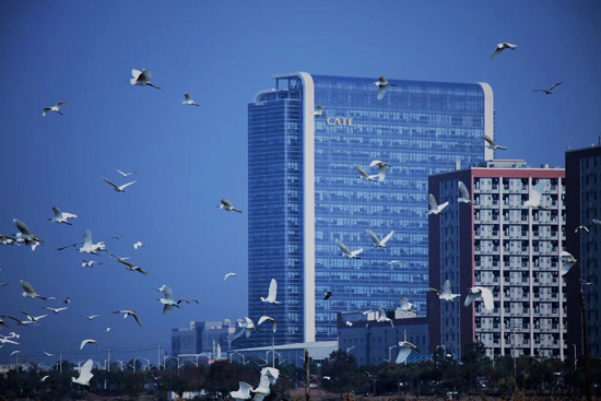 獨角獸寧德時代正式登陸創(chuàng)業(yè)板 引領動力電池行業(yè)時代變革