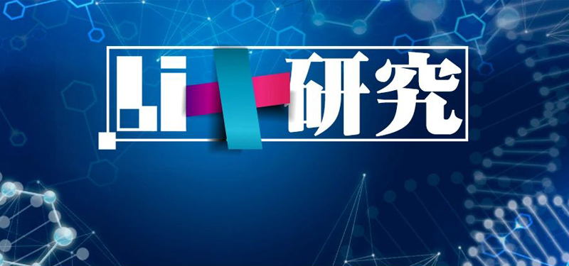 Li+研究│5月裝機量:乘用車領域磷酸鐵鋰表現搶眼 軟包回暖 Li+研究│5月裝機量:乘用車領域磷酸鐵鋰表現搶眼 軟包回暖