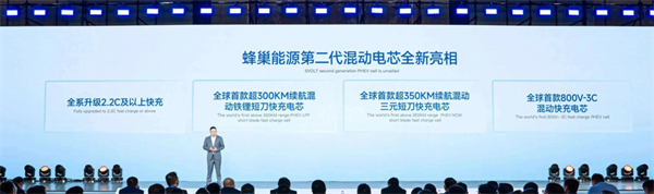 獨家｜對話楊紅新：蜂巢能源2024年如何“破卷”？