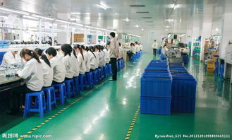 一呼百應，賦能裝飾材料新未來——探索公司頻道的行業價值